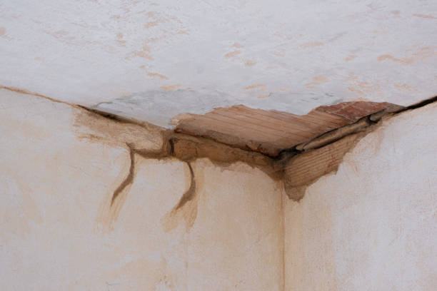 Trusted Dalzell, SC Water damage restoration Experts